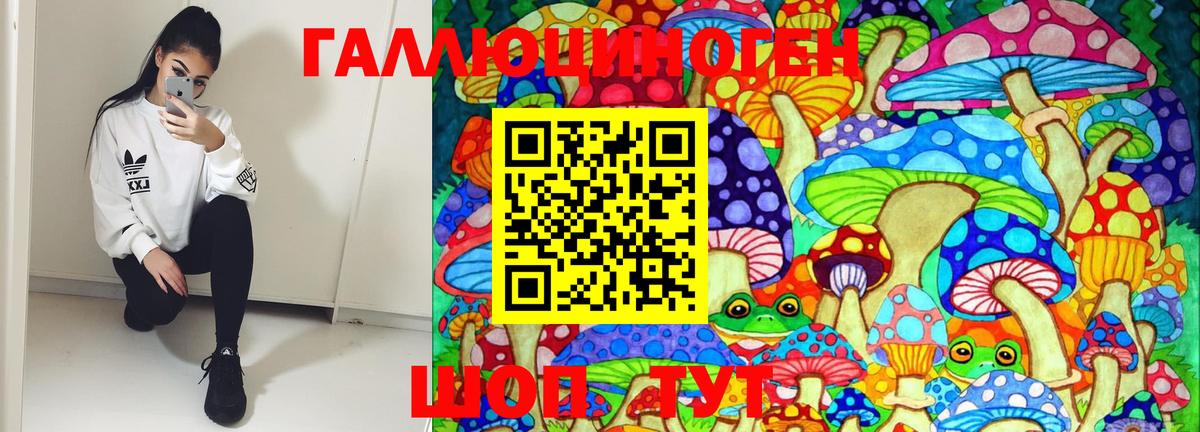 Псилоцибиновые грибы ЛСД Майкоп