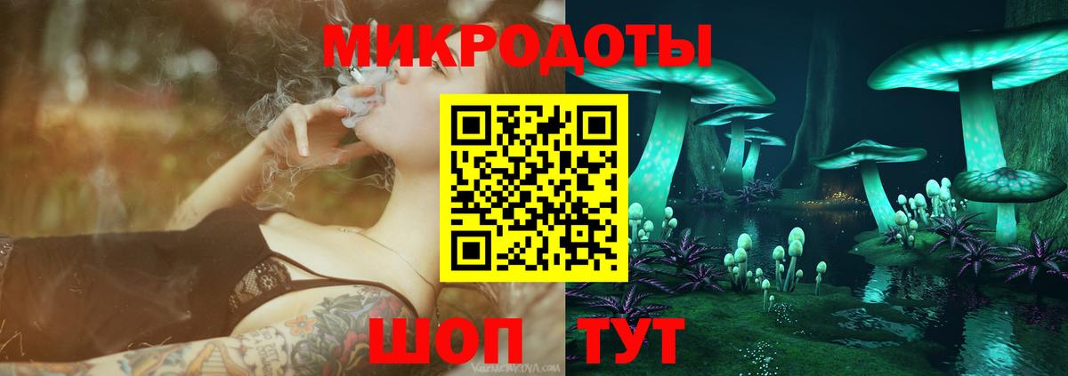 Майкоп  Галлюциногенные грибы GOLDEN TEACHER  Вход с VPN 