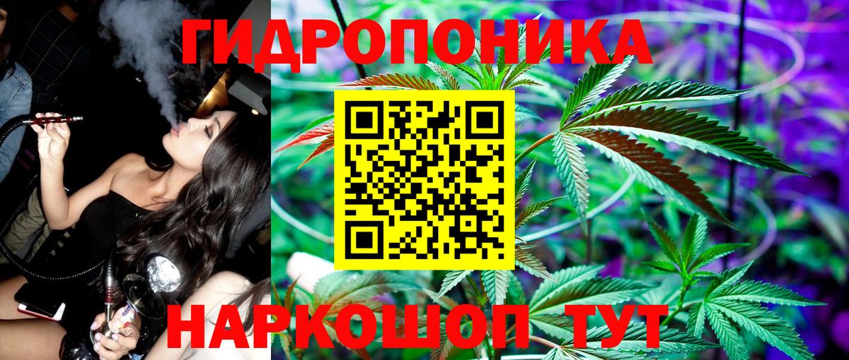 APVP Майкоп